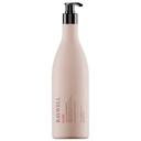 Raywell Tools Close Color Shampoo Шампунь для захисту кольору фарбованого волосся 1000 мл.